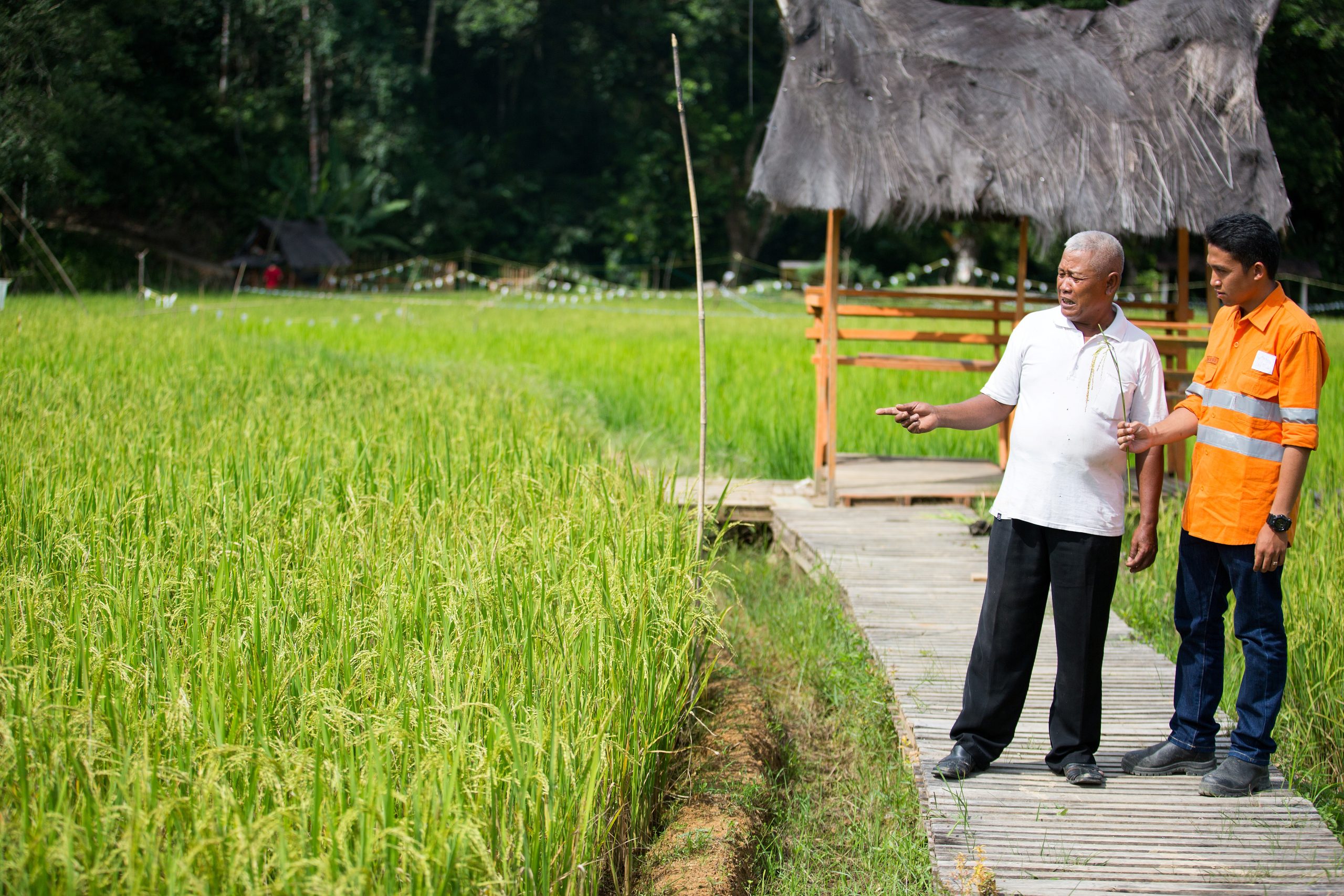 Kiroyan Partners - Case Study