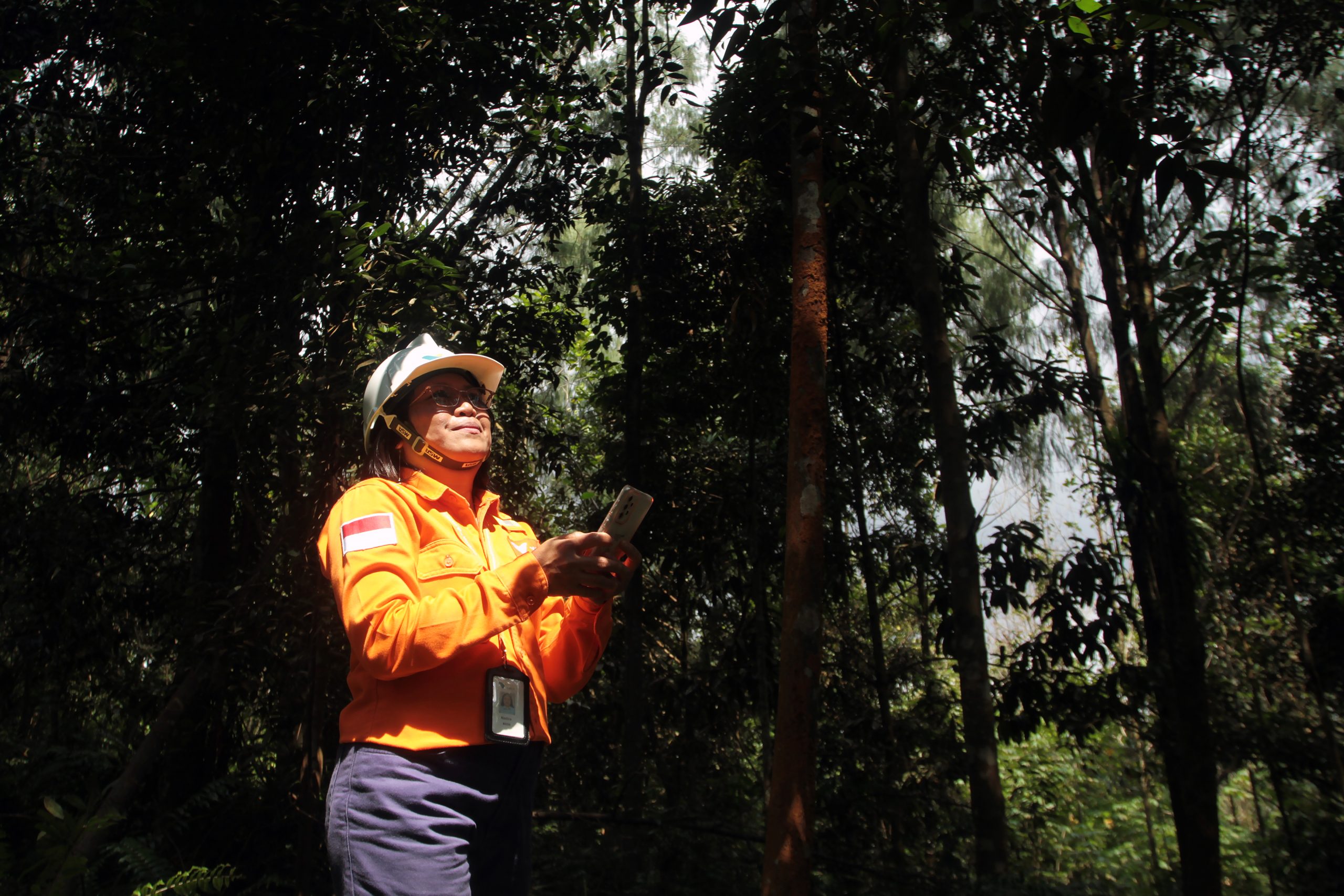 Kiroyan Partners - Case Study